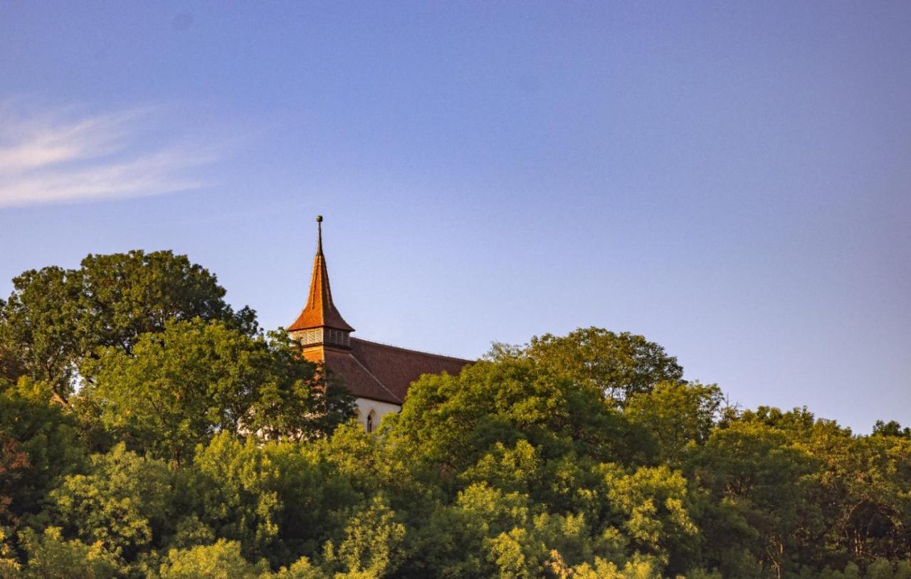 Casa Adalmo Hotel Sighisoara Luaran gambar